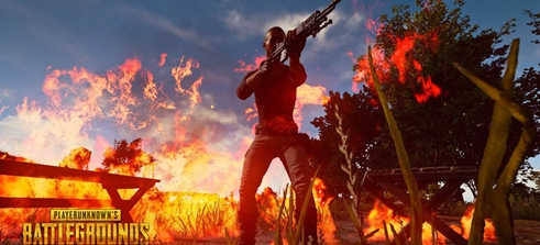 个更支持 个更支持