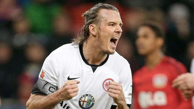 鹈鹕的现状 鹈鹕的现状